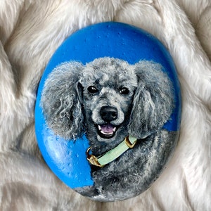 Custom Painted Rock Pet Portrait, Customized Pet Art, Personalized Pet Portrait Painting, Acrylic Pet Portrait Painting, Cuatom Pet Painting