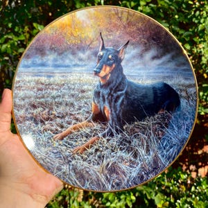 May include: A round decorative plate with a gold-toned rim featuring a detailed illustration of a black and tan Doberman Pinscher dog lying in a field of dry, frost-covered grass with a blurred, warm-toned autumn forest background.