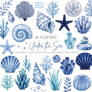 Puede incluir: Una colección de 46 ilustraciones en acuarela con elementos de vida marina en azul, incluyendo varias conchas, estrellas de mar, corales, erizos y algas, con el texto 46 CLIPART Under The Sea 46 ELEMENTS | HIGH RESOLUTION | TRANSPARENT PNG | 300 DPI.