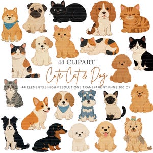 Könnte beinhalten: Eine Sammlung von 44 digitalen Illustrationen verschiedener Katzen- und Hunderassen im Cartoon-Stil. Das Bild enthält den Text 44 CLIPART Cute Cat & Dog 44 ELEMENTS | HIGH RESOLUTION | TRANSPARENT PNG | 300 DPI.