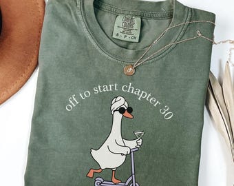 30th Birthday Shirt Off To Start Chapter 30 Shirt Silly Goose Shirt Comfort Colors Funny Birthday Shirt 30th Gift For 30 Year Old Tshirt