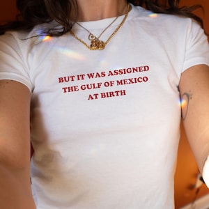 Het werd toegewezen aan de Golf van Mexico bij de geboorte Y2K baby-T-shirt anti-golf van Amerika shirt Golf van Mexico shirt politiek tshirt anti-troef protest T-shirt