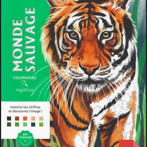 Mystery Coloring Books - Disney Coloring Books - Coloring book pack,PDF Books 100 Pages, Stress Relief & Relaxation Digital Download,
