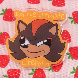 Memey Hedgehog Pins