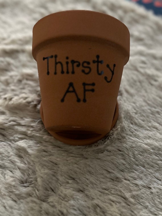 3" Thirsty AF Pot