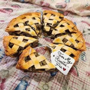 Apple “Sweetie Pie” Slice Magnet: Scented Polymer Clay Fridge Décor