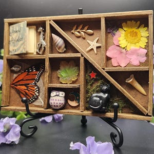 Estantería de curiosidades Whimsy & Wilds: decoración de brujas, exhibición de baratijas de estilo cottagecore, estante de altar, caja de sombras hecha a mano para regalar