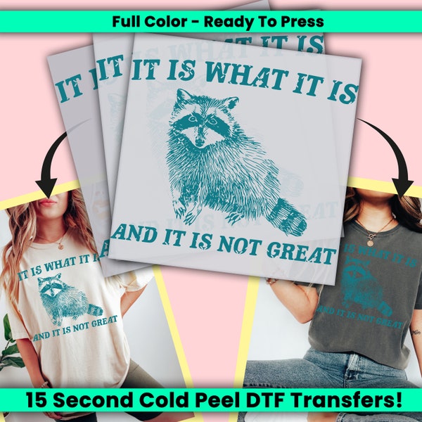 It Is What It Is And It Is Not Great DTF Transfer, Raccoon Ready to Press, Personalized DTF Transfers, Heat Press, DTF Transfer- ssco794