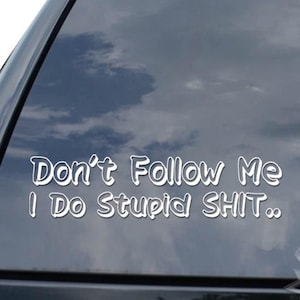 May include: White vinyl car decal with the text "Don't Follow Me I Do Stupid SHIT." The decal is applied to the rear window of a black vehicle. The sky is visible through the window.