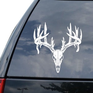 May include: White vinyl decal of a deer skull with antlers. The skull is detailed with eye sockets and a jawline. The antlers are spread wide and have a detailed branching pattern.