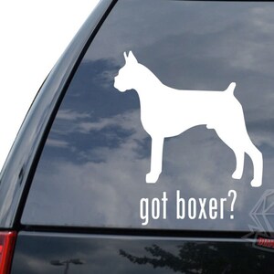 May include: White silhouette of a boxer dog on a blue car window with the text "got boxer?" below.