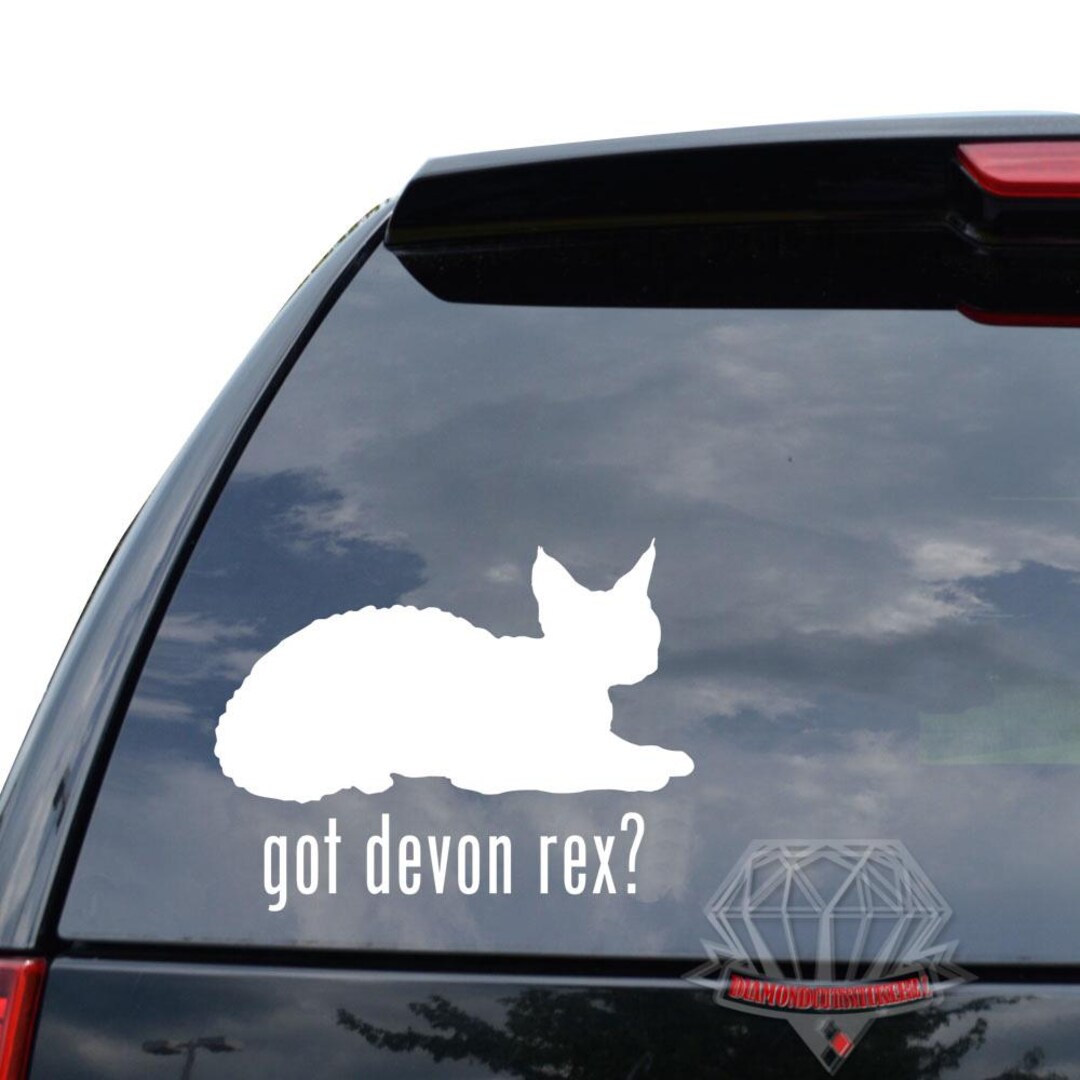 Devo Car Sticker Got Devon Rext Cat Kitty Kitten Pet Animal Sticker Decal for Car Truck ...