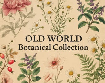Vintage Botanical Prints: Antique Illustration Set for Cottagecore Decor (PNG & JPEG Digital Download)
