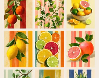 Citrus Fruit Kitchen Prints: Vintage Style Lemon, Orange, Grapefruit (Digital Download, Set of 10)