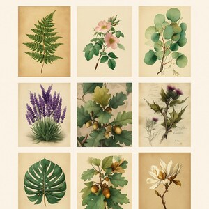 Set de arte mural botánico vintage: 10 ilustraciones imprimibles de plantas y flores, decoración de herbario antiguo para amantes de la naturaleza y decoración del hogar.