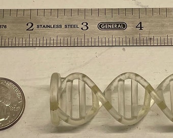 Pode incluir: Um modelo de plástico transparente de uma dupla hélice de ADN, com cerca de 5 cm de comprimento, ao lado de uma moeda de um quarto de dólar americano para escala.