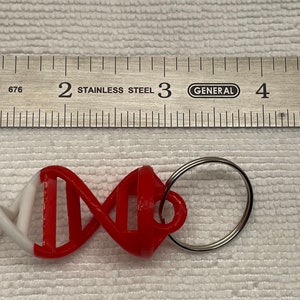 May include: A red, white and blue DNA-shaped keyring with a silver key ring. The keyring is approximately 5 cm long and is made of plastic.