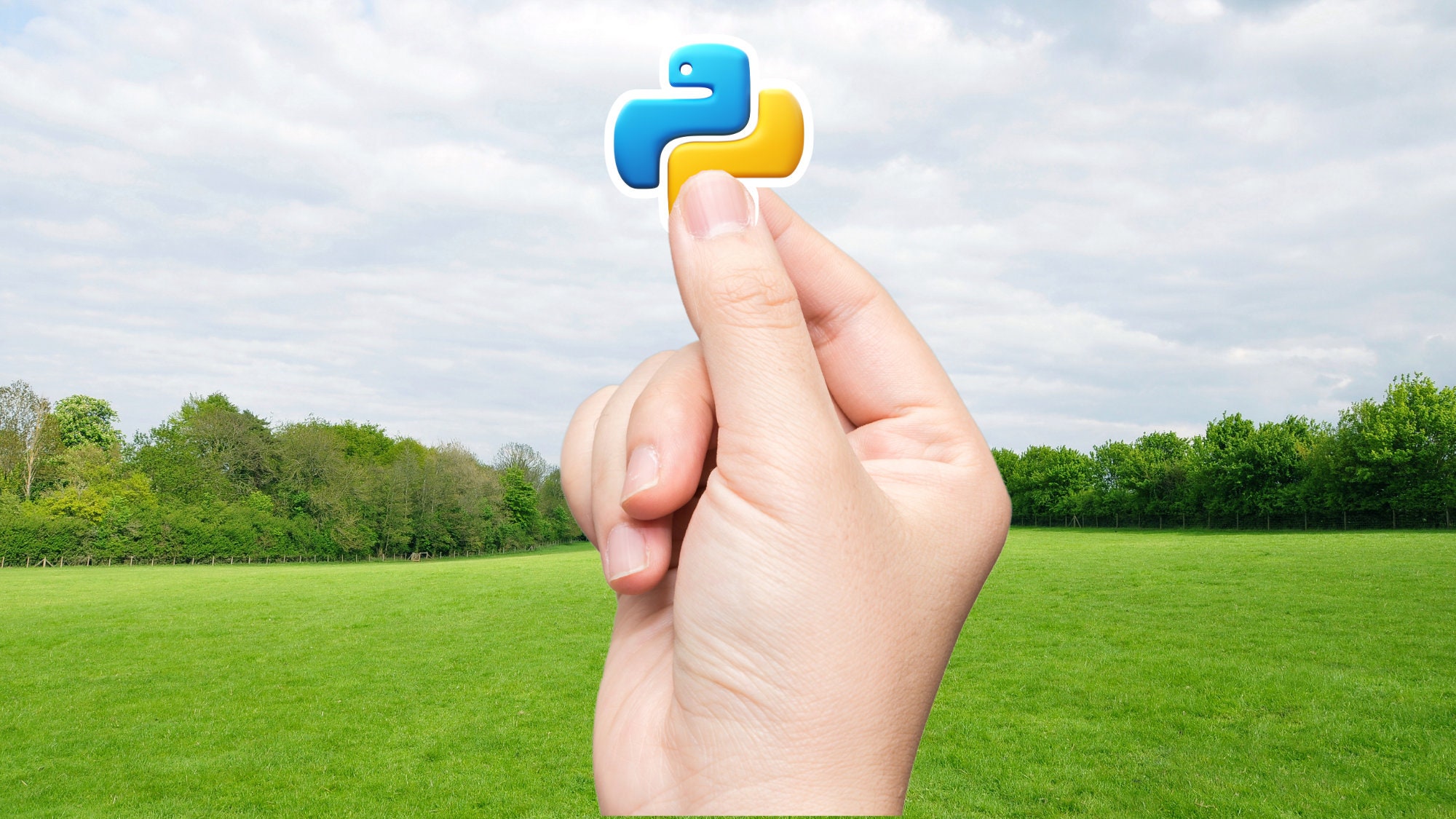 Python Sticker 3D Logo Decal, Coding Stickers for Software Engineers ...