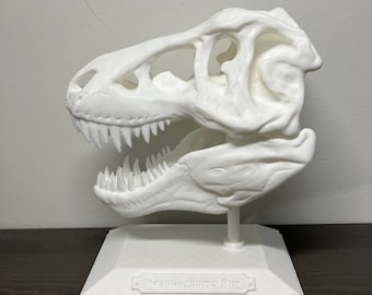 3d printed T. Rex Skull - High Quality Design - Desk Decoration - Stand Included - Lifelike Skull! - Dinosaur Skull