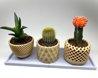COMBO PACK! Mini Indoor Modern Succulent Pots/Planters