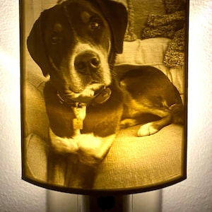 May include: A night light with a 3D printed image of a dog on a couch. The image is in shades of brown and beige.