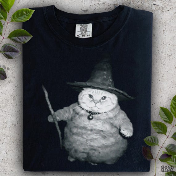 Wizard Kitten Vintage Shirt, Chonk Cat, Witch Cat Halloween Shirt, Halloween Cat Shirt, Funny Meme Cringe Shirt, Spooky Cat Shirt