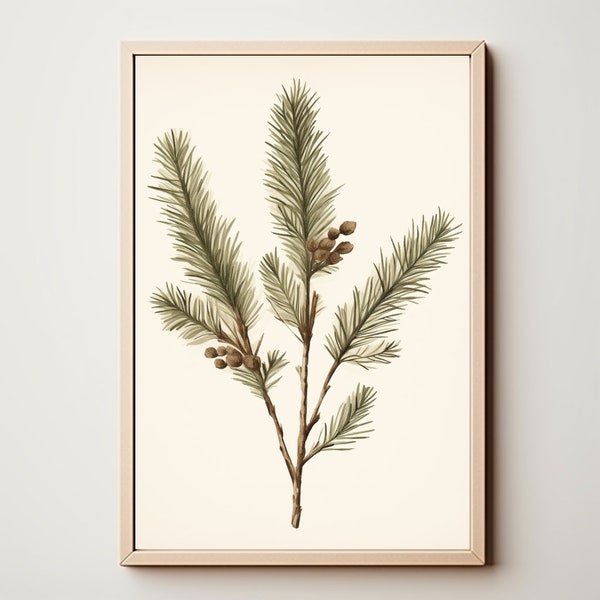 Vintage Fir Botanical Printable | Conifer Illustration Art | Rustic Evergreen Decor