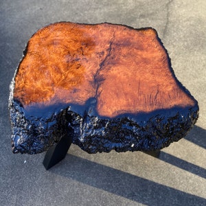 Redwood Burl End Table