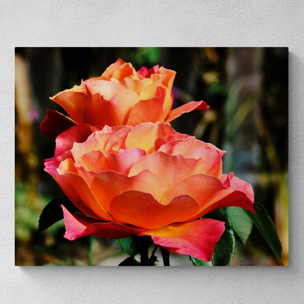 Orange Red Flame Rose Bloom Metal Art Print Original Floral Canvas Wall Art Flower Nature Decor Soft Warm Petal Vibrant Dawn Colors Blossoms