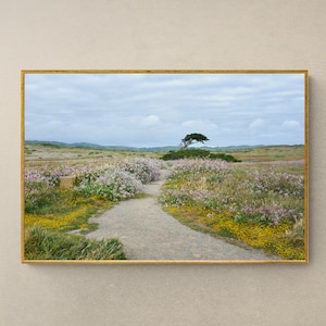 May include: A winding dirt path leads through a field of wildflowers, with a lone tree standing in the distance. The sky is a soft blue with fluffy white clouds.