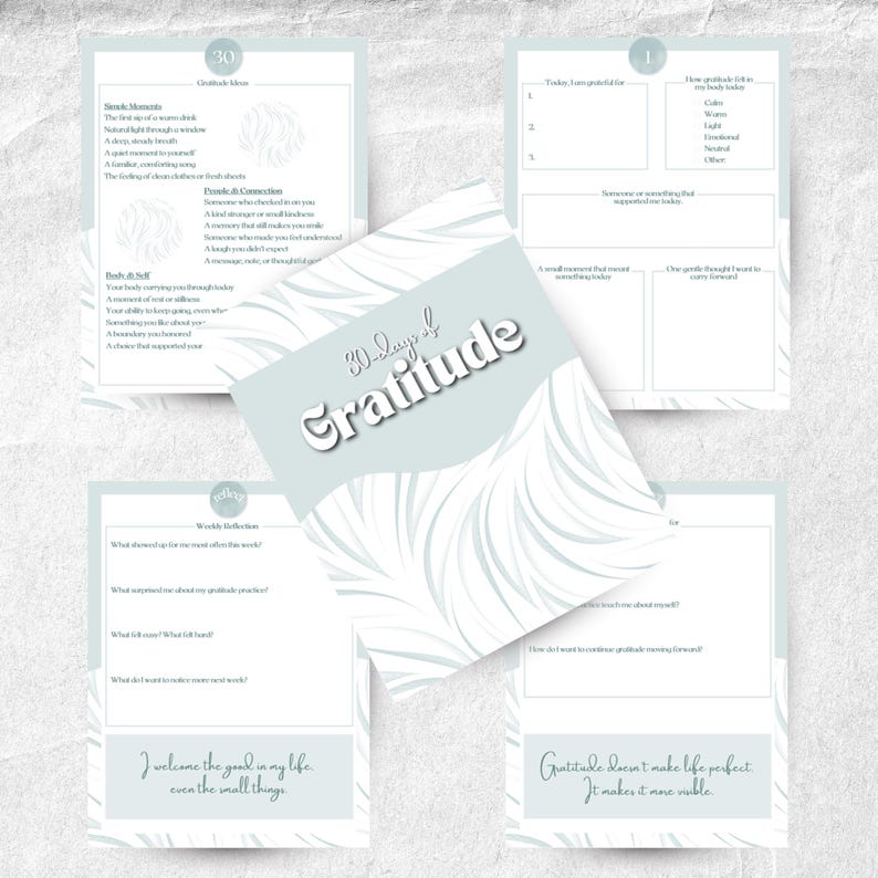 30 Day Gratitude Journal PLR MRR | Canva Template + PDF | Printable ...