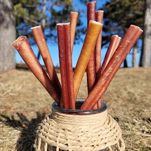 12 Inch Thick Bully Sticks – Odor Free Beef Chews for Dogs, Natural Long Lasting Rawhide Free Treats for Large Breeds and Chewers(54gr/each)