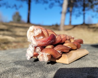 12" Braided Bully Sticks – Premium Long Lasting Natural Beef Chews, Low Odor Rawhide Free for Aggressive Chewers and Dog Gifts(100gr/ea)