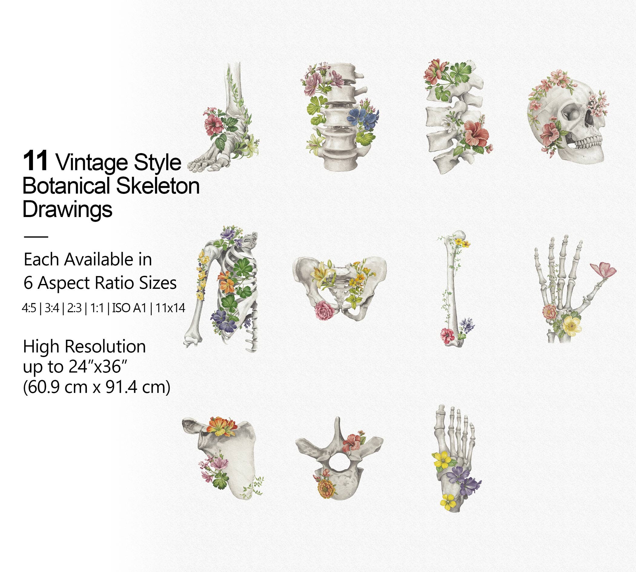 11 Botanical Human Skeleton Bone Printables, Floral Anatomy Wall Art ...