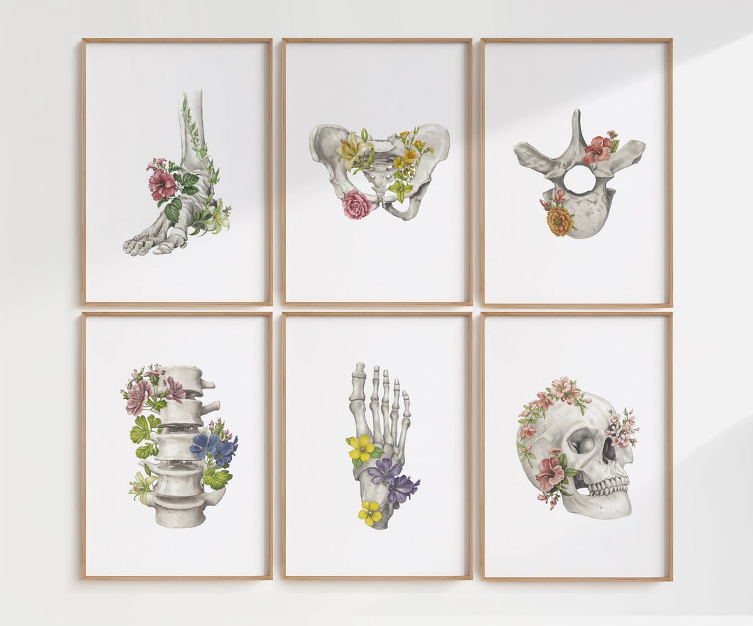 11 Botanical Human Skeleton Bone Printables, Floral Anatomy Wall Art ...