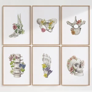 11 imprimíveis de osso de esqueleto humano botânico, pacote de arte de parede de anatomia floral, conjunto de impressão de arte de quiropraxia, pôsteres ortopédicos de desenho vintage