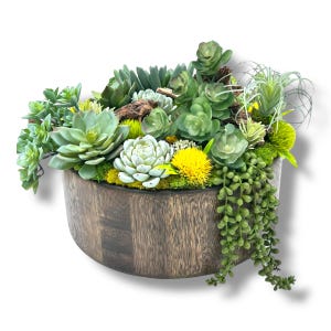 Succulent Design in Dark Brown Circular Wood Vase | Rare Succulents and Small Plants | White Wood Planter for Living Room Succulent