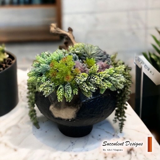 Sukkulenten Design in schwarz / gold runder Metallvase | Einzigartige Faux Sukkulente | Blumenschmuck und Blumentopf | Personalisierte Schreibtisch Dekor