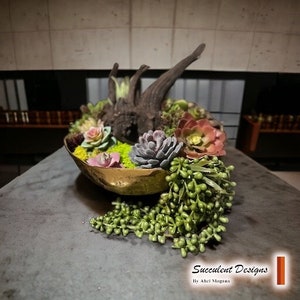 Succulent Design in Gold Circular Metal Vase | Unique Floral Centerpiece Featuring One-of-a-Kind Succulent Art | Perfect As Personalized