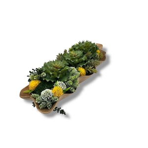 Succulent Design in Natural Leaf Shape Walnut Wood Vase | Faux Succulent and Floral Arrangement | Arranged Succulents for Table Centerpiece