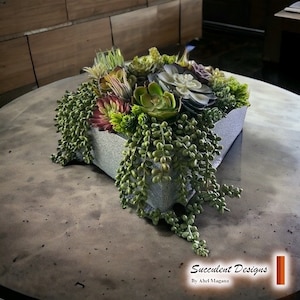 Succulent Design in Gray Painted Square Fiberglass Vase | Faux Succulents and One-of-a-Kind Succulent Arrangement | Tabletop Decor | Nature