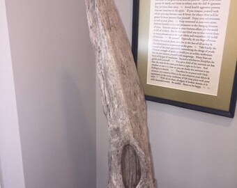 Drijfhoutkunst, drijfhoutsculptuur, houten sculptuur, natuurlijke houtkunst, houtkunst, zeldzame vondst