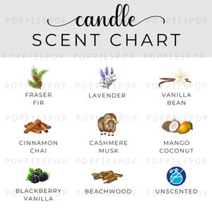 May include: A white background features a candle scent chart with the word "candle" in cursive. The chart displays illustrations of scents like Fraser Fir, Lavender, Vanilla Bean, Cinnamon Chai, Cashmere Musk, Mango Coconut, Blackberry Vanilla, Beachwood, and Unscented.
