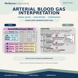 ABG Interpretation Badge Card | Nursing Student Quick Reference (Laminated)