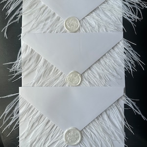 FEATHER PEARLESCENT ENVELOPE