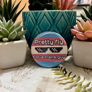 May include: A round button with a blue, pink, and white design, featuring the text "Pretty Fly For a trans guy" and pixelated sunglasses. The button is surrounded by small potted succulents and a teal ceramic pot with a diamond pattern.