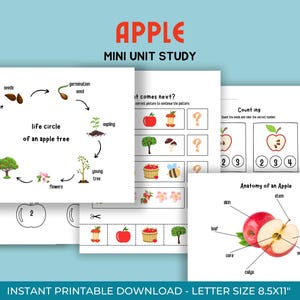 Studio di unità Apple Mini, studio della natura, scienza, attività educative per la scuola materna, ciclo di vita, anatomia, istruzione parentale, scheda di lavoro autunnale