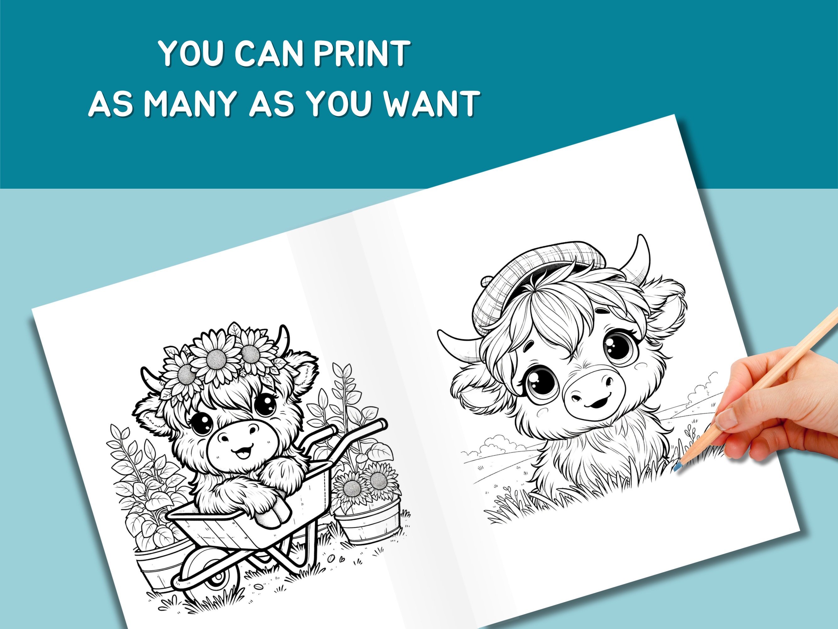 Cute Highland Cow Coloring Book for Kids, Fun Activity Coloring ...