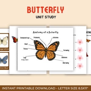 Può includere: Uno studio di unità di farfalle stampabile con il titolo "BUTTERFLY UNIT STUDY" in rosso. Lo studio include diagrammi di anatomia della farfalla, esercizi di conteggio e immagini di diverse specie di farfalle. Formato carta 21,59 cm x 27,94 cm.
