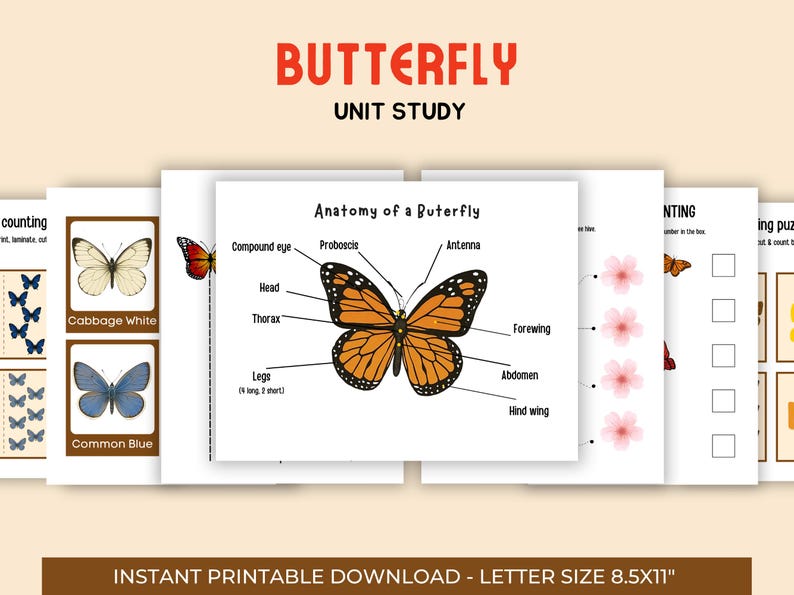 Butterfly Unit Study, Life Cycle, Anatomy, Nature Study Homeschool ...